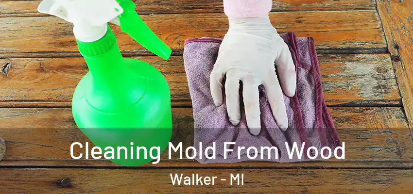 Cleaning Mold From Wood Walker - MI