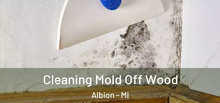  Cleaning Mold Off Wood Albion - MI