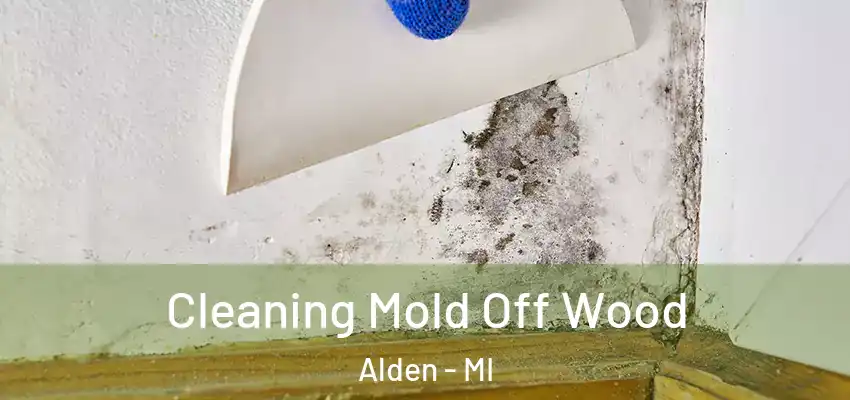  Cleaning Mold Off Wood Alden - MI