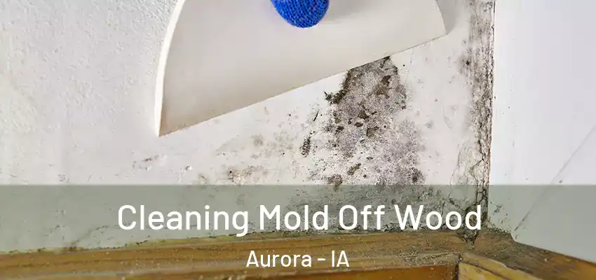  Cleaning Mold Off Wood Aurora - IA