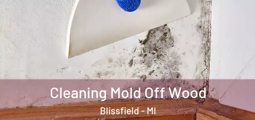  Cleaning Mold Off Wood Blissfield - MI