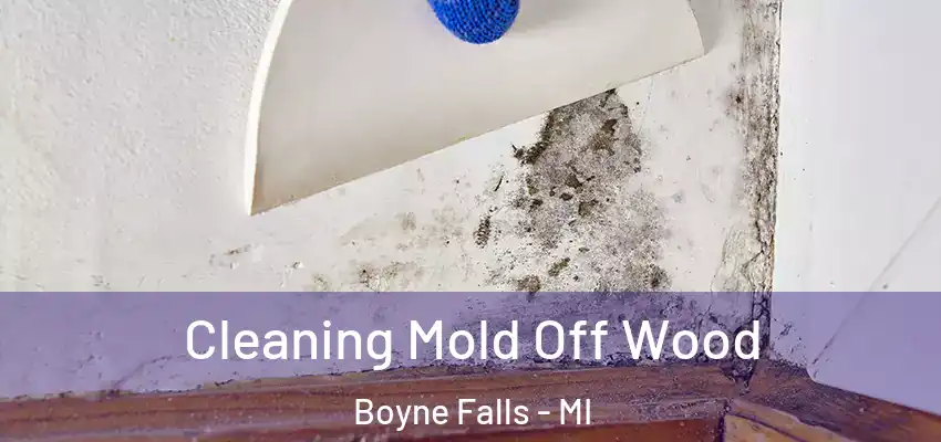  Cleaning Mold Off Wood Boyne Falls - MI
