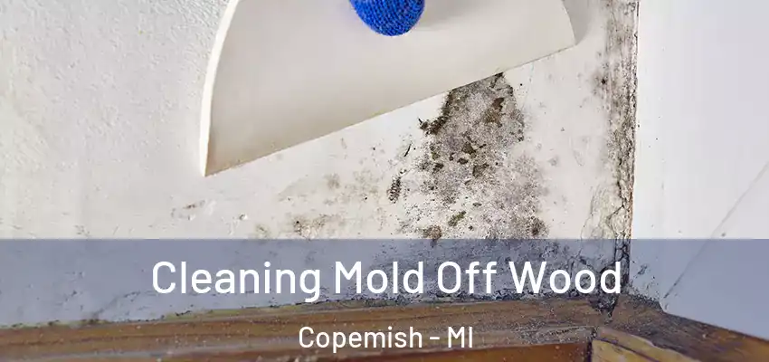  Cleaning Mold Off Wood Copemish - MI