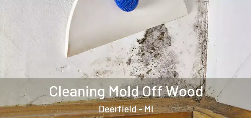  Cleaning Mold Off Wood Deerfield - MI