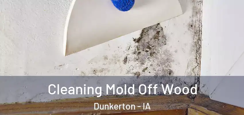  Cleaning Mold Off Wood Dunkerton - IA