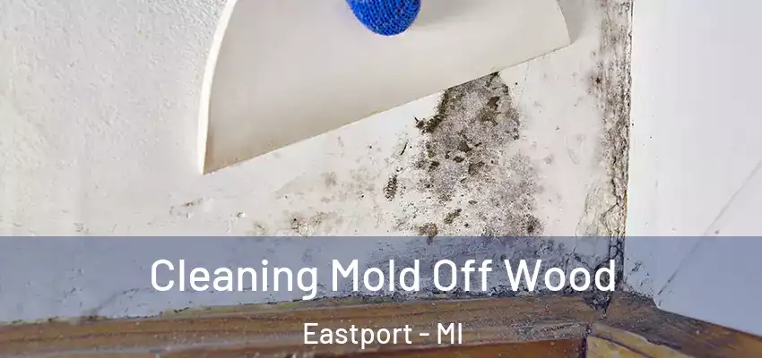  Cleaning Mold Off Wood Eastport - MI