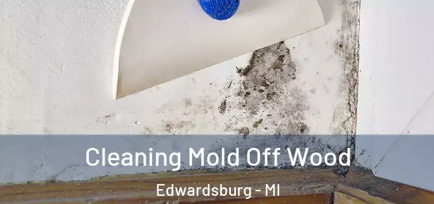 Cleaning Mold Off Wood Edwardsburg - MI