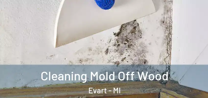  Cleaning Mold Off Wood Evart - MI