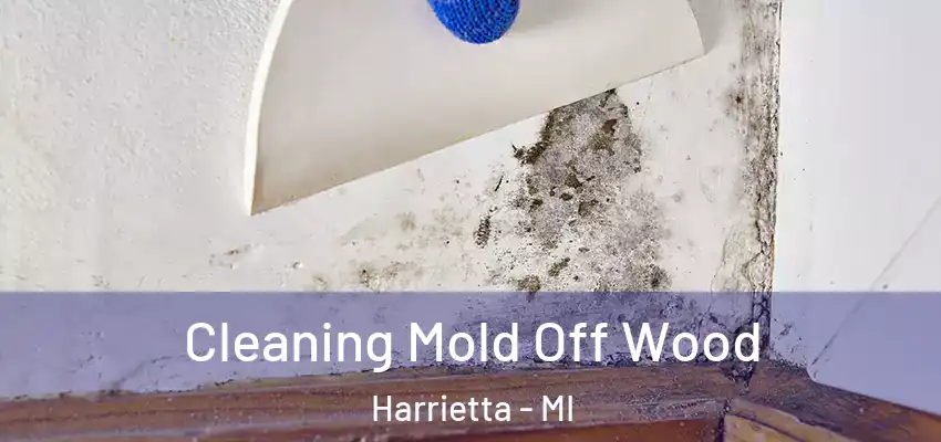  Cleaning Mold Off Wood Harrietta - MI