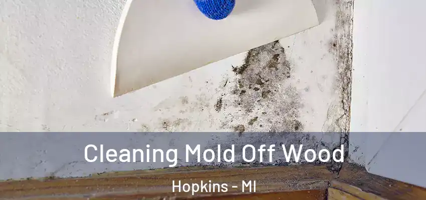  Cleaning Mold Off Wood Hopkins - MI