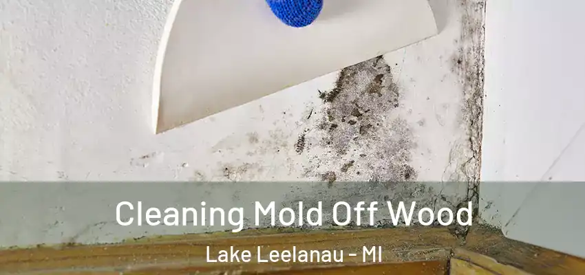  Cleaning Mold Off Wood Lake Leelanau - MI