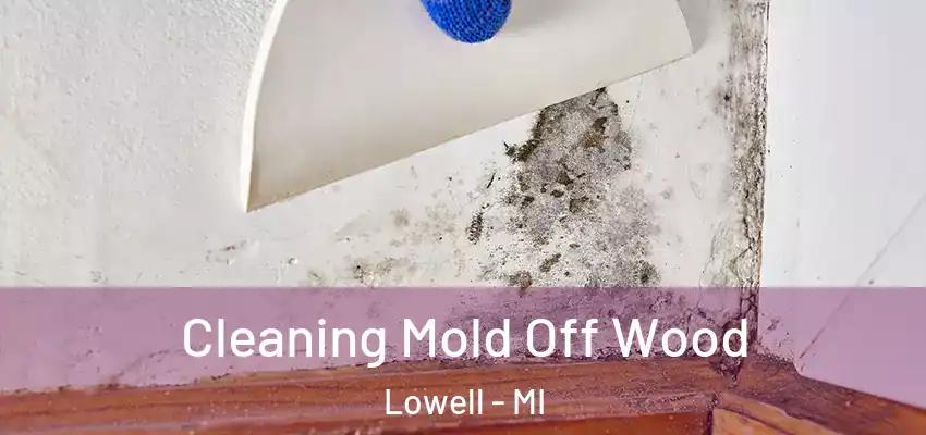 Cleaning Mold Off Wood Lowell - MI
