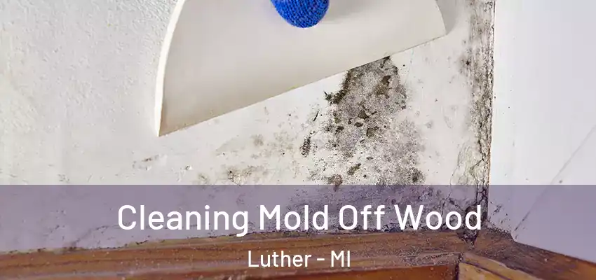  Cleaning Mold Off Wood Luther - MI