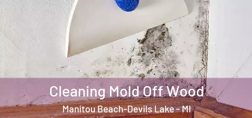  Cleaning Mold Off Wood Manitou Beach-Devils Lake - MI