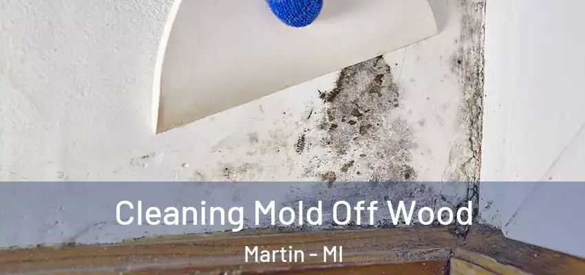 Cleaning Mold Off Wood Martin - MI