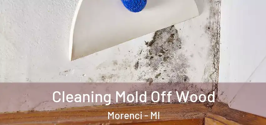  Cleaning Mold Off Wood Morenci - MI