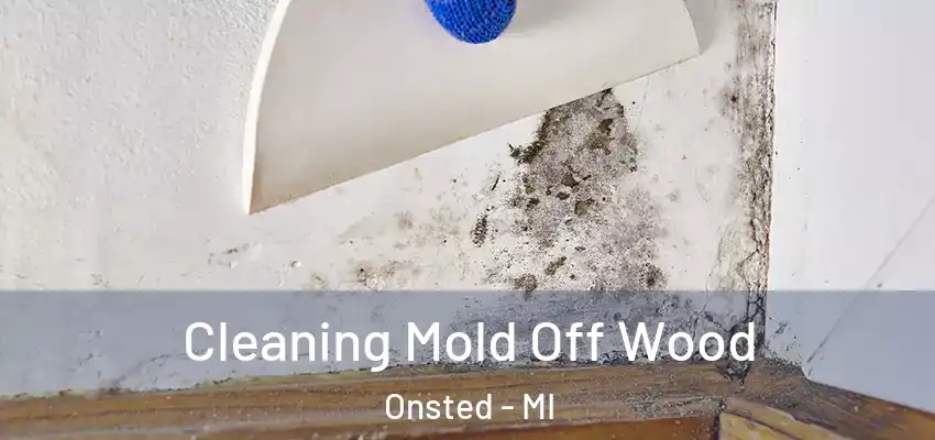 Cleaning Mold Off Wood Onsted - MI