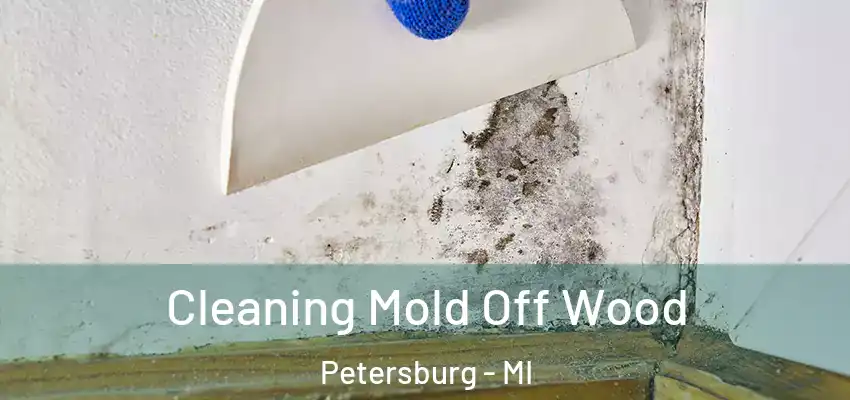  Cleaning Mold Off Wood Petersburg - MI