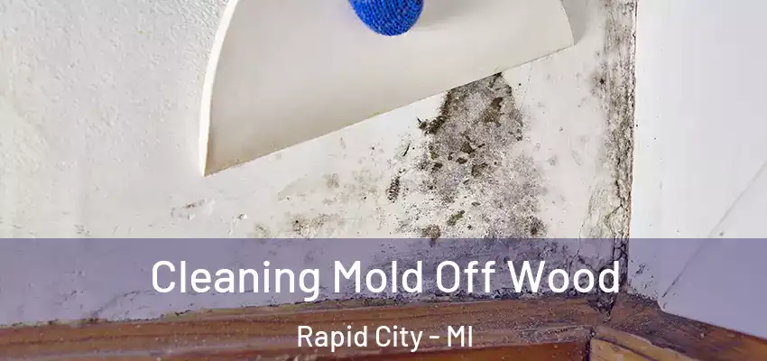 Cleaning Mold Off Wood Rapid City - MI