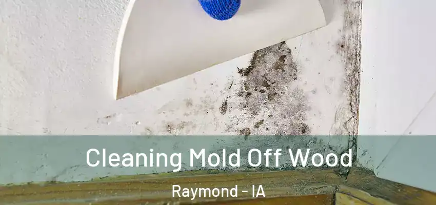  Cleaning Mold Off Wood Raymond - IA