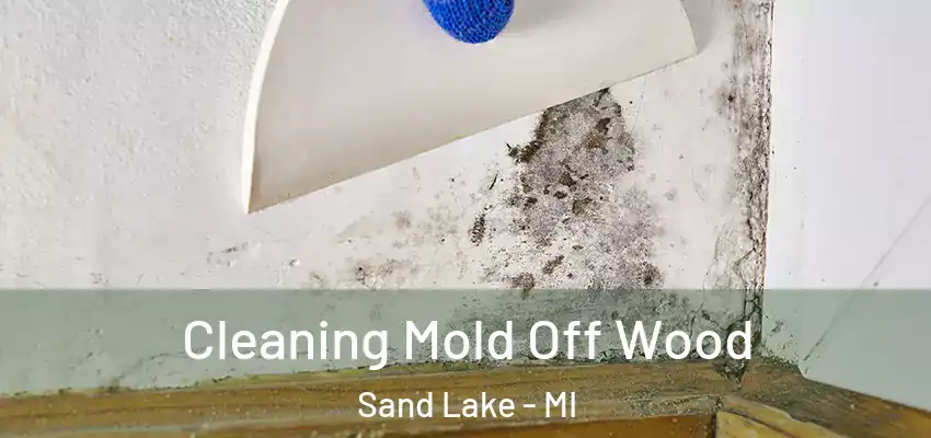 Cleaning Mold Off Wood Sand Lake - MI