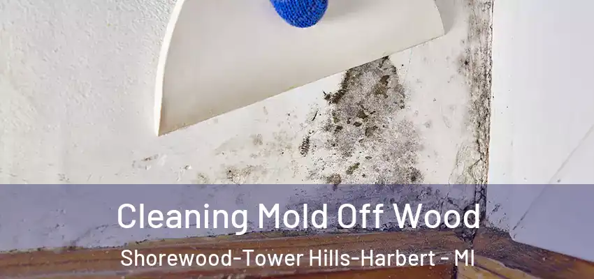  Cleaning Mold Off Wood Shorewood-Tower Hills-Harbert - MI