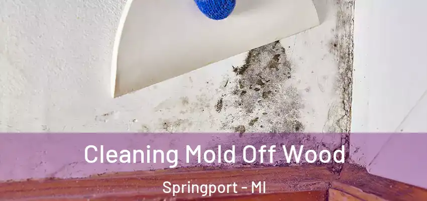  Cleaning Mold Off Wood Springport - MI