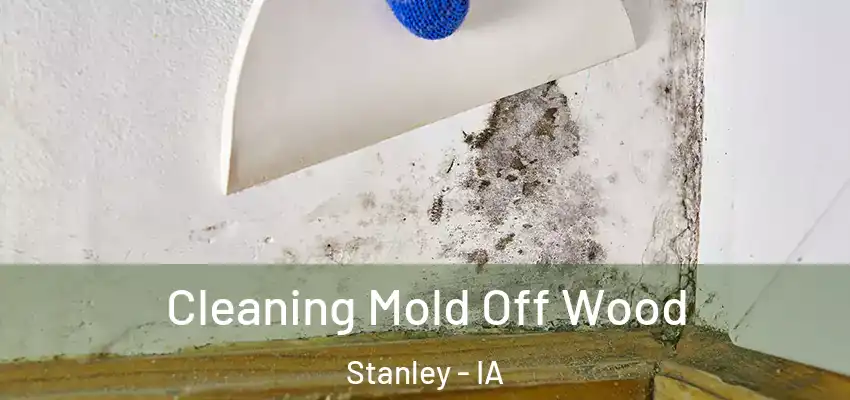  Cleaning Mold Off Wood Stanley - IA