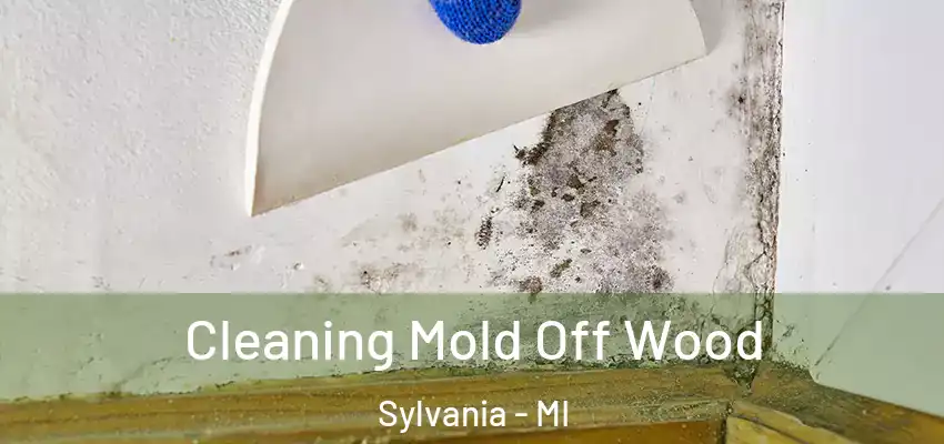 Cleaning Mold Off Wood Sylvania - MI