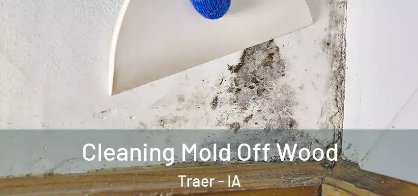  Cleaning Mold Off Wood Traer - IA
