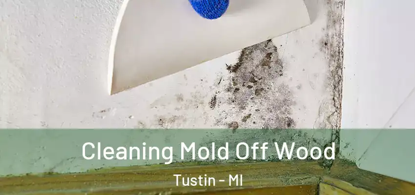  Cleaning Mold Off Wood Tustin - MI