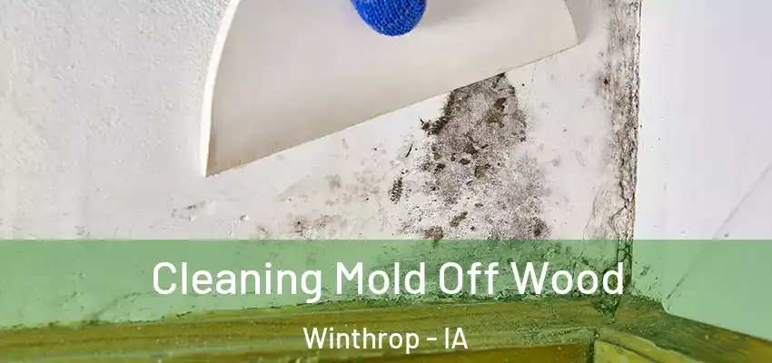  Cleaning Mold Off Wood Winthrop - IA