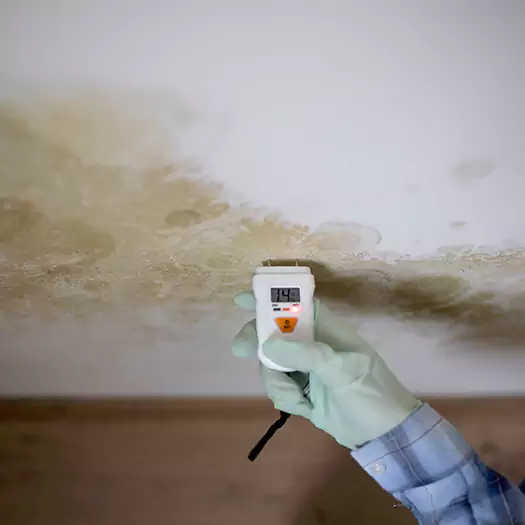Reliable Mold Inspection Experts in Waterloo, IA