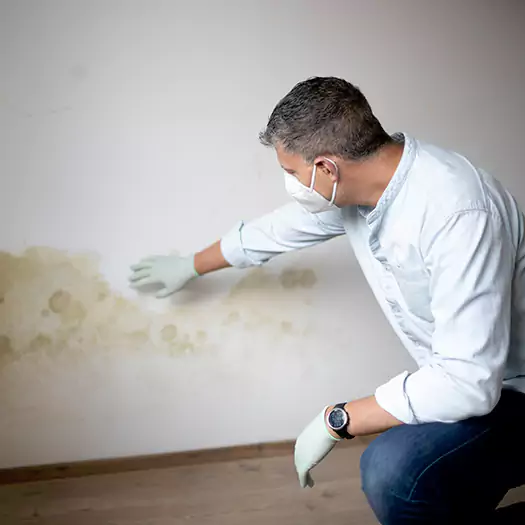 Trusted Mold Remediation and Removal Experts in Waterloo, IA