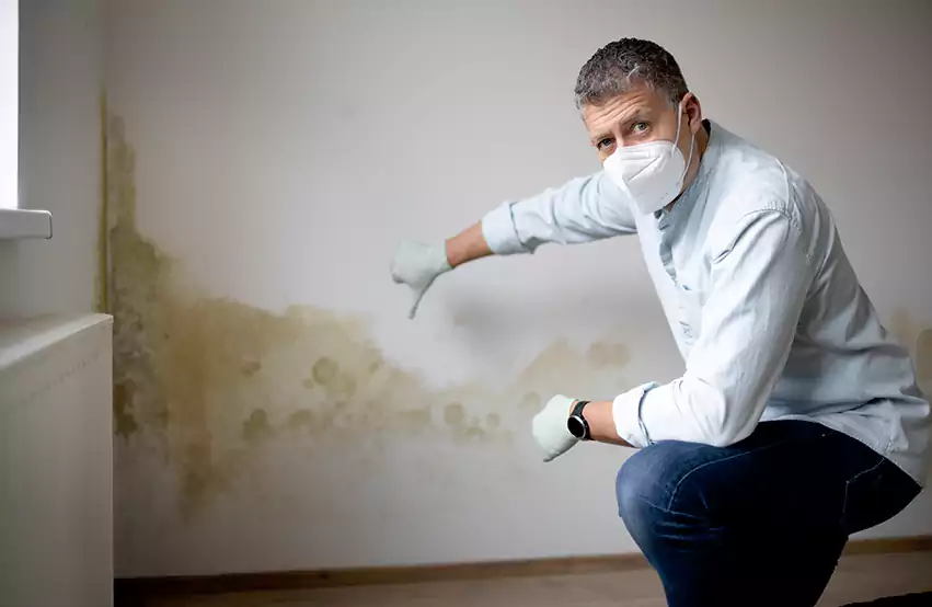 Mold Removal in Waterloo, IA