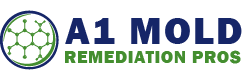 A1 Mold Remediation Pros
