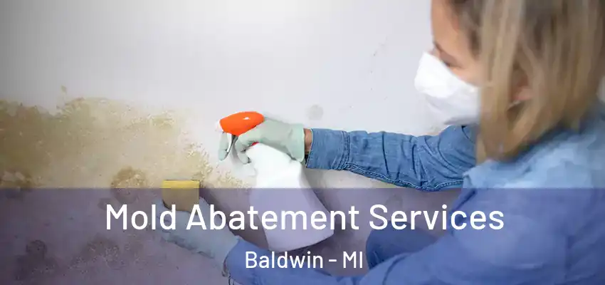  Mold Abatement Services Baldwin - MI