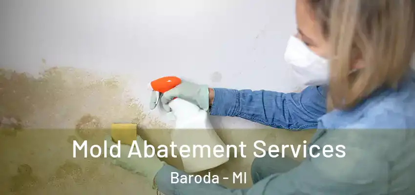  Mold Abatement Services Baroda - MI