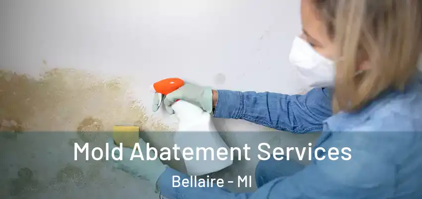  Mold Abatement Services Bellaire - MI