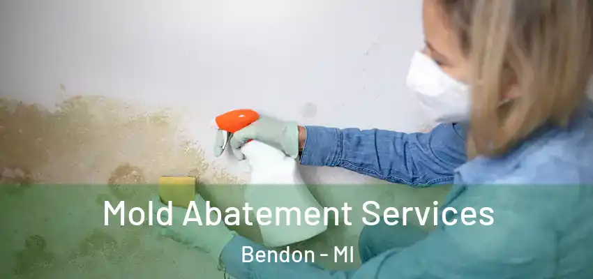 Mold Abatement Services Bendon - MI
