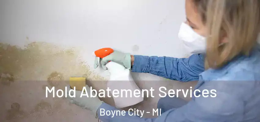  Mold Abatement Services Boyne City - MI