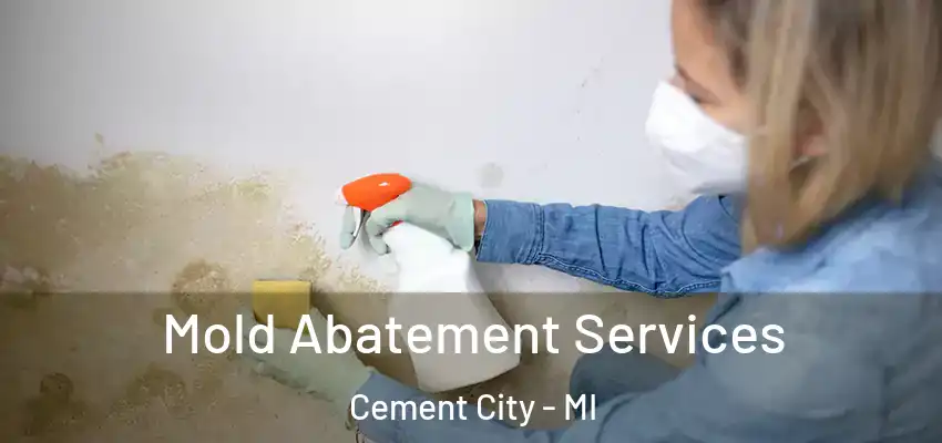 Mold Abatement Services Cement City - MI