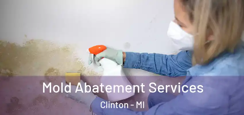  Mold Abatement Services Clinton - MI