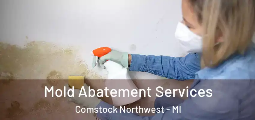  Mold Abatement Services Comstock Northwest - MI