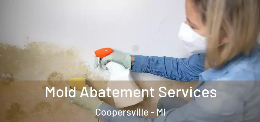  Mold Abatement Services Coopersville - MI