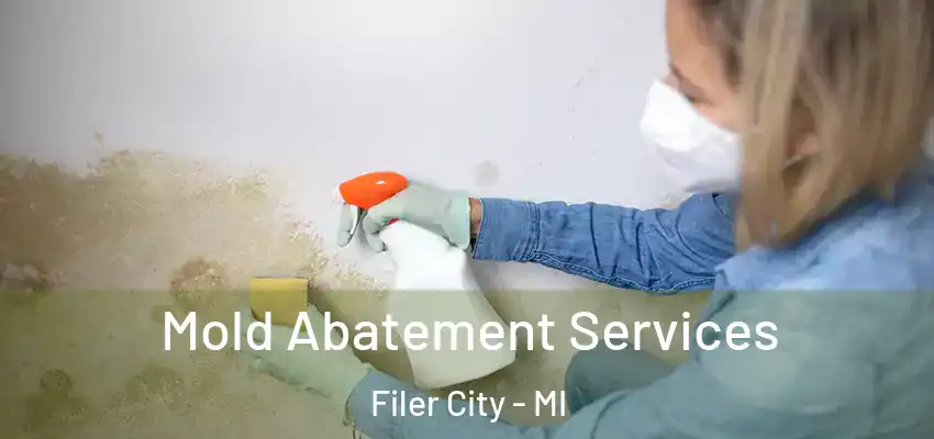  Mold Abatement Services Filer City - MI