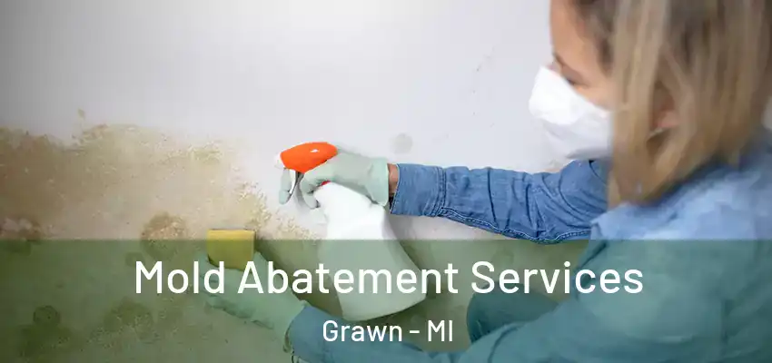  Mold Abatement Services Grawn - MI