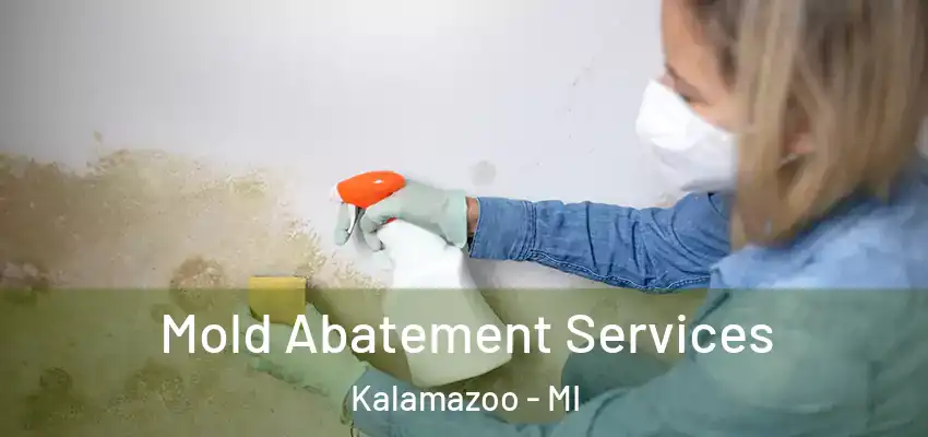  Mold Abatement Services Kalamazoo - MI