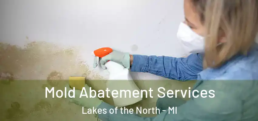  Mold Abatement Services Lakes of the North - MI