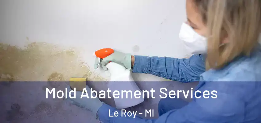Mold Abatement Services Le Roy - MI